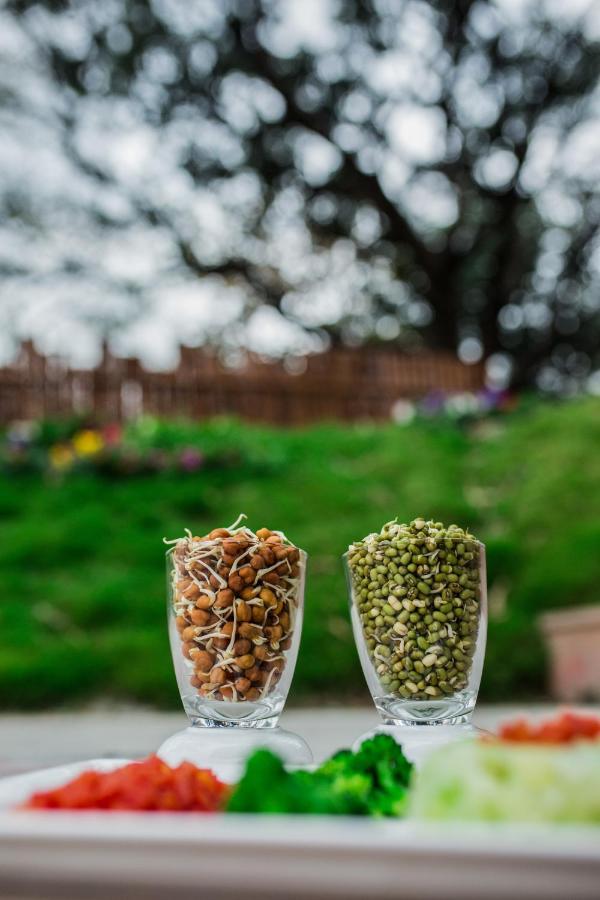 Sterling Palm Bliss - Rishikesh Hotel Екстериор снимка