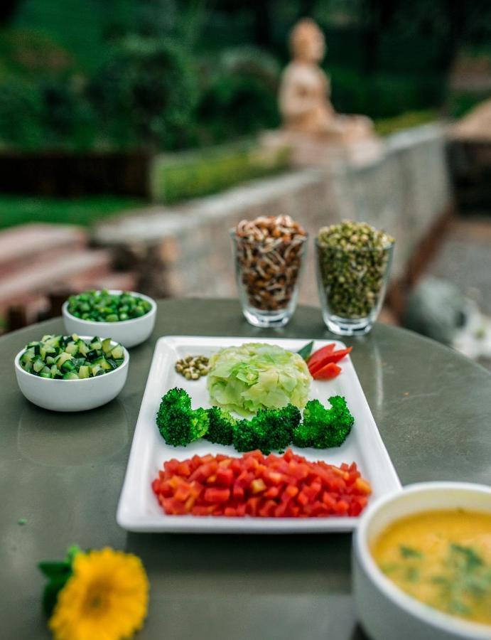 Sterling Palm Bliss - Rishikesh Hotel Екстериор снимка